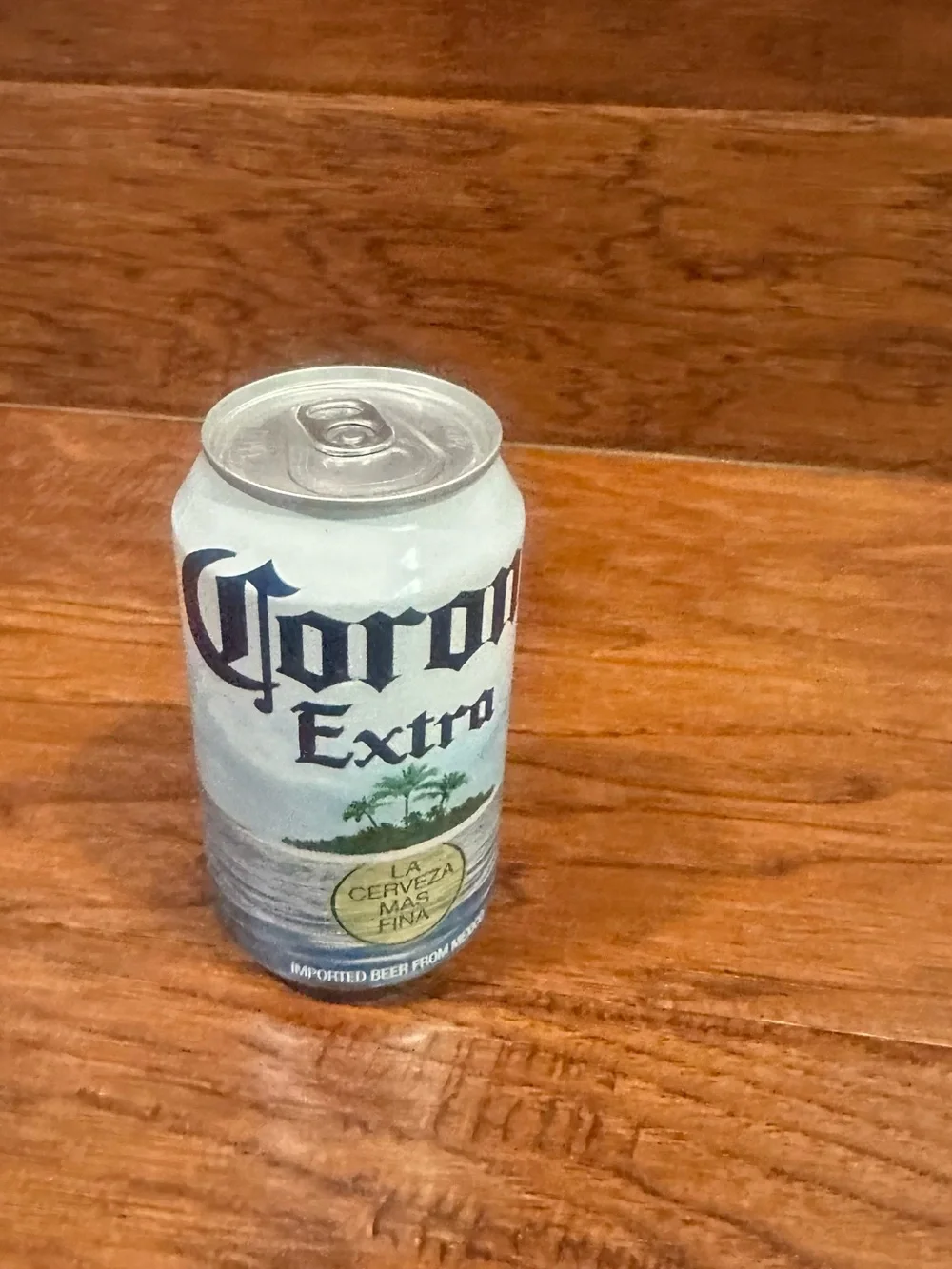 Corona Extra White & Blue Stash Can with Palm Logo